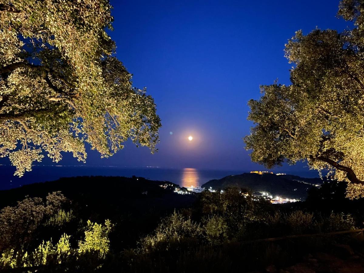 Villa Borgo Degli Ulivi à Porto Ercole  Extérieur photo