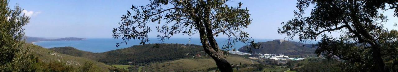 Villa Borgo Degli Ulivi à Porto Ercole  Extérieur photo