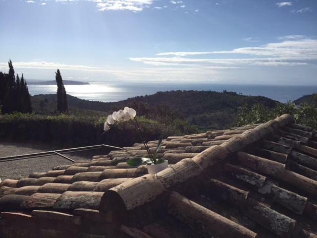 Villa Borgo Degli Ulivi à Porto Ercole  Extérieur photo